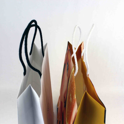 Twisted Handle Bags